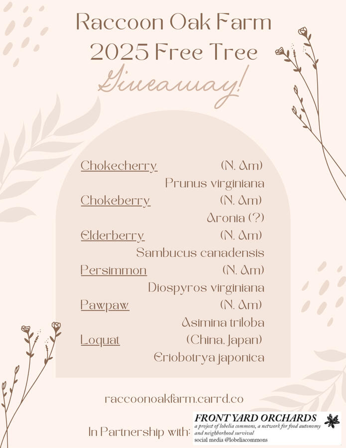 2025 Free Tree Giveaway