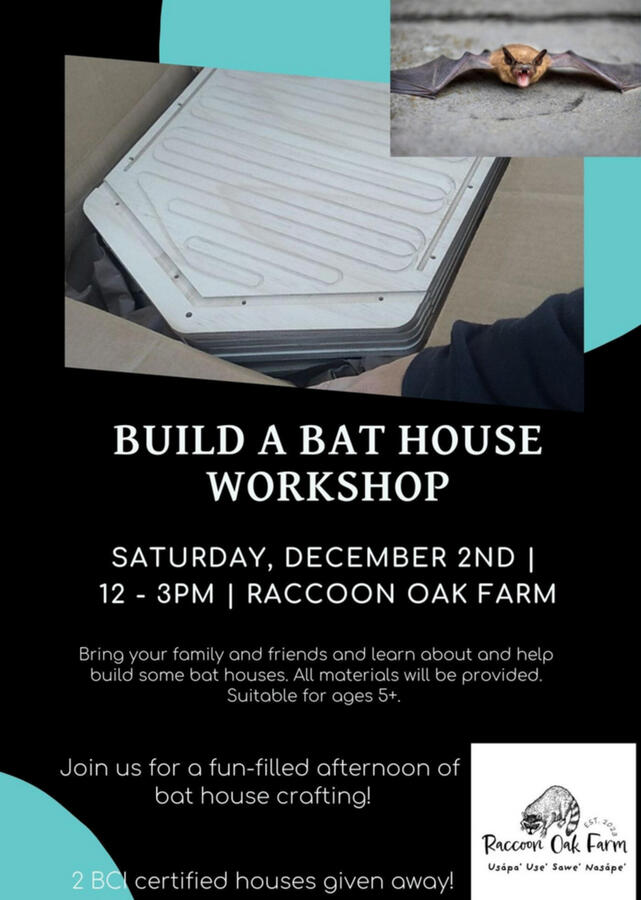 Dec 2023 Bat House Build