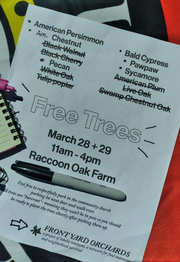 2024 Free Tree Giveaway