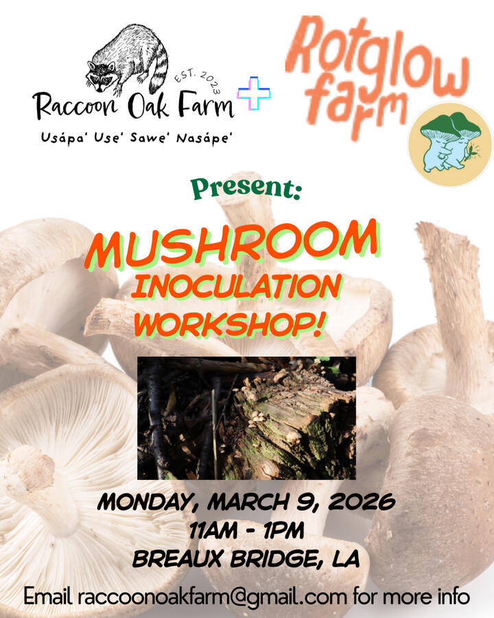 March 2026 Mushroom Inoculation with Rotglow Farms